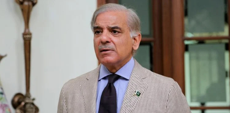 PM Shehbaz Sharif, blasphemous remarks, BJP leader