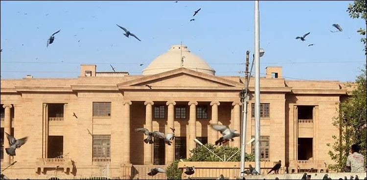 Sindh Bar Council, Sindh High Court, appointment, judges