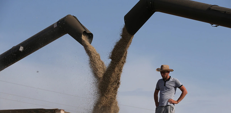 food prices Ukraine grain shipment Russia