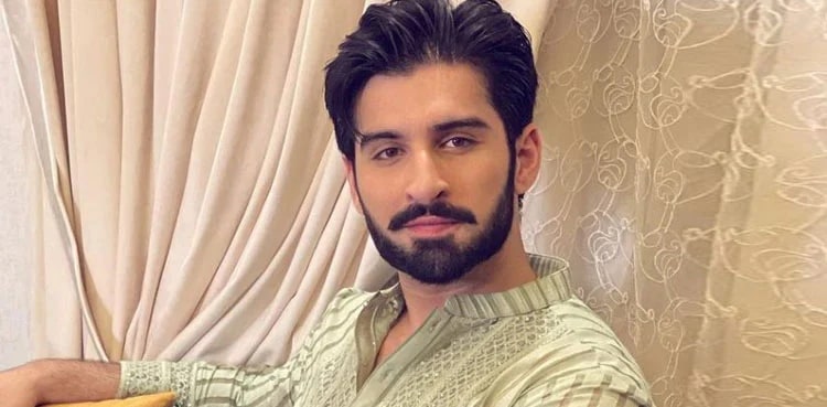 Actor Muneeb Butt, general elections