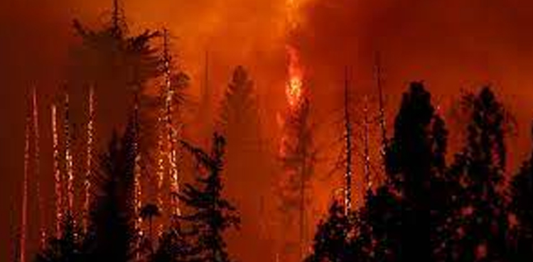 Czech Republic, forest fire, heatwaves