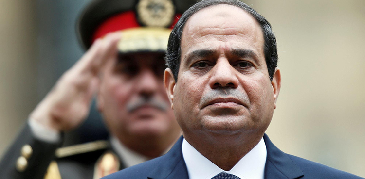 Egypt, Presidential Pardon, journalist, researcher