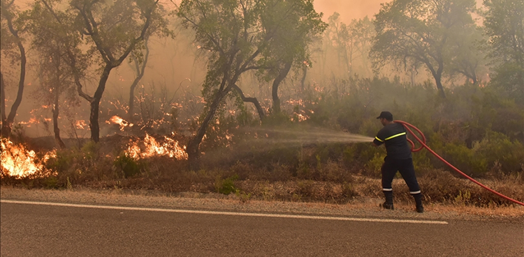 Forest fires, Morocco