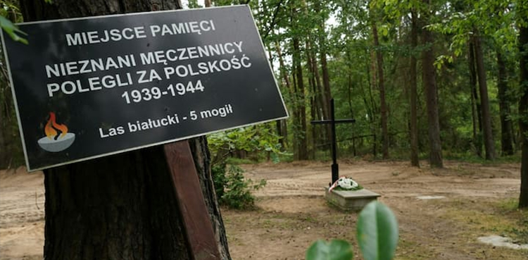 Nazi war victims remains, Poland, mass grave