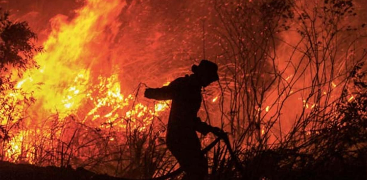 Algeria forest fire, Tornado of fire