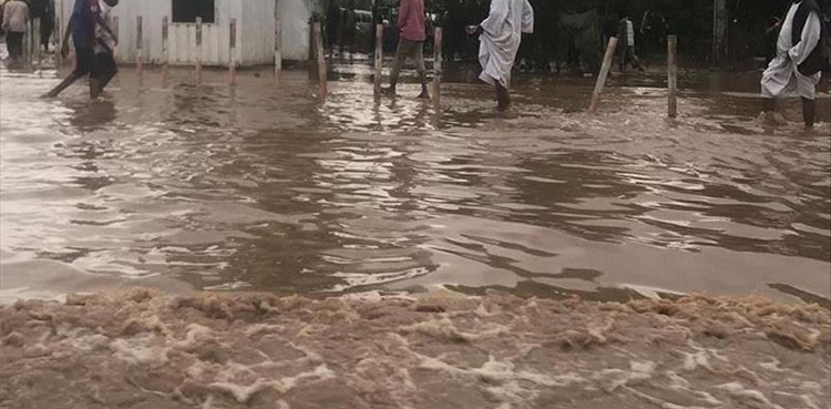 Chad floods