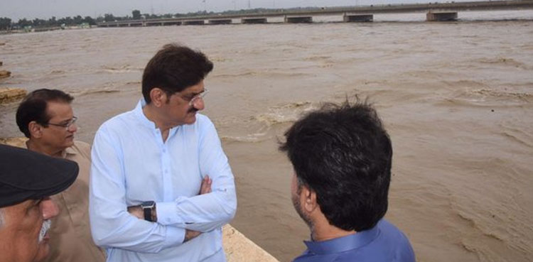 Sindh situation 'more critical' than 2010 floods: CM Murad