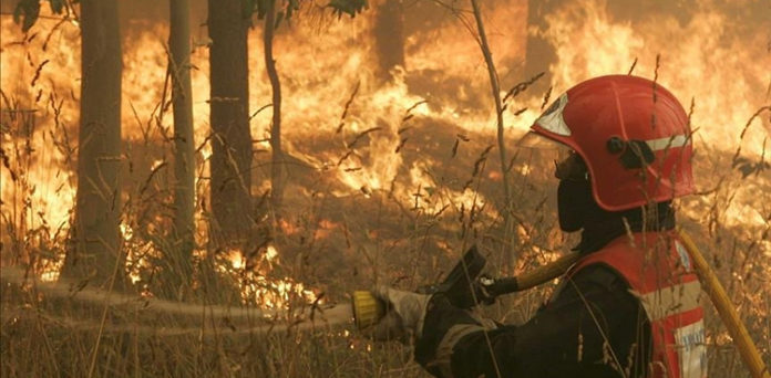 Spain forest fire, France border, rapid spread