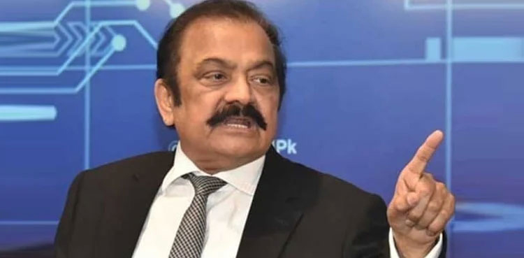 Rana Sanaullah, social media campaign, PTI, Imran Khan