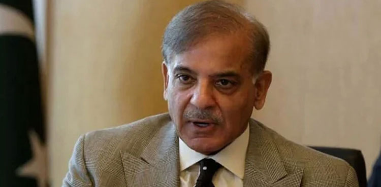 PM Shehbaz takes strict notice of dengue outbreak in Karachi