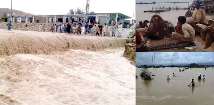 Balochistan, death toll, flood, torrential rains