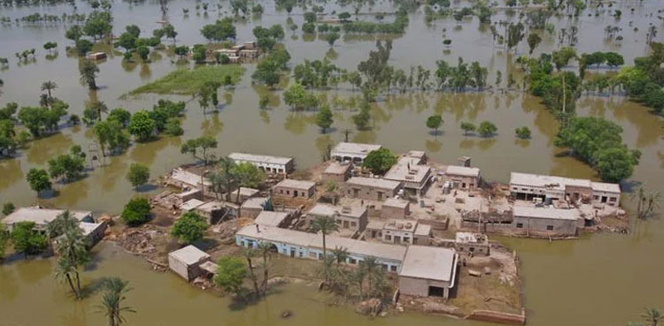 Punjab: Heavy rains, floods kill 49 in six districts