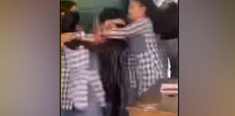 brawl, students, schoolgirls, viral video, viral, video