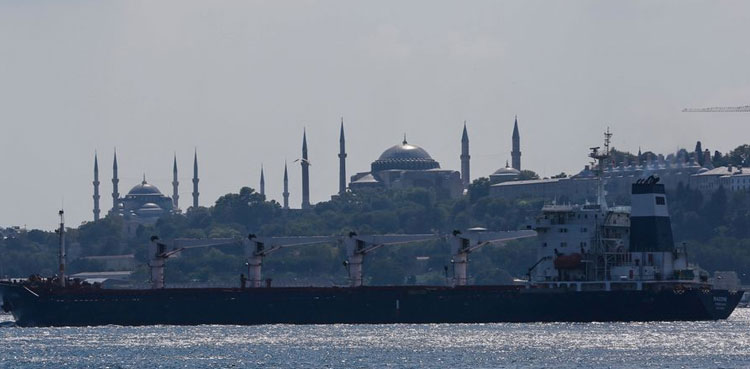 Ukraine wheat shipment, Turkey