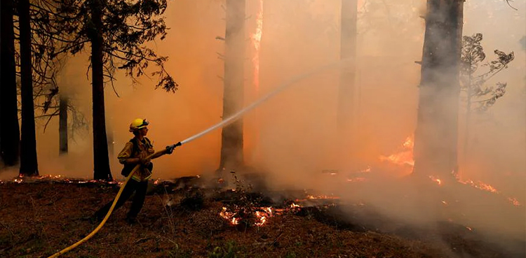 California wildfire