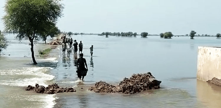 Cuts made to Indus Highway as floodwater endangers Dadu city