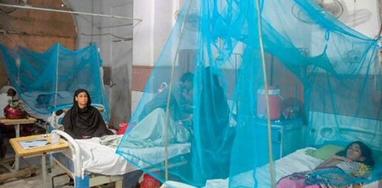 Dengue in Karachi, 280 test positive, last 24 hours