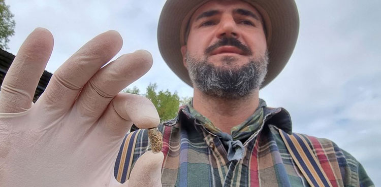 Human tooth, Archaeologists, Georgia