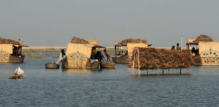 Manchar Lake