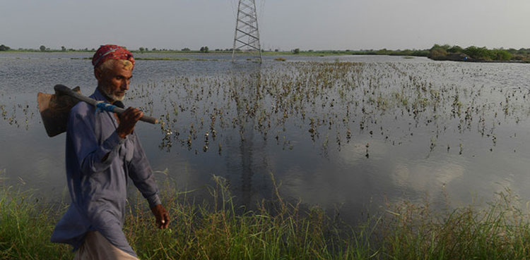 Floodwater standing, Sindh Balochistan