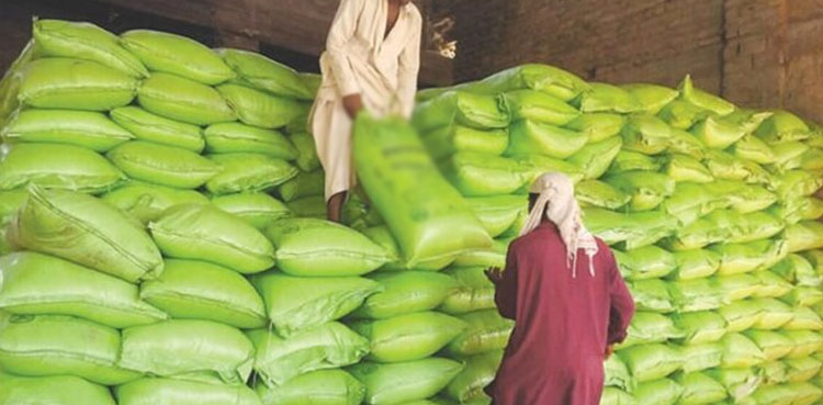 Cabinet allows import of 300,000MT urea for Rabi season