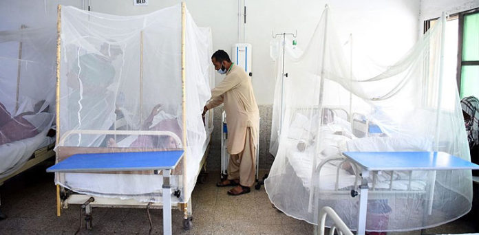 dengue Pakistan floods, Mosquito nets