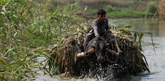 Economic repercussions of floods in Pakistan