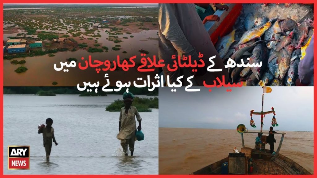 indus delta, floods, thatta, Dams