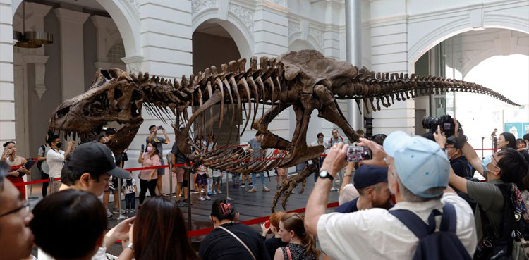 T-Rex,-Singapore,-Auction