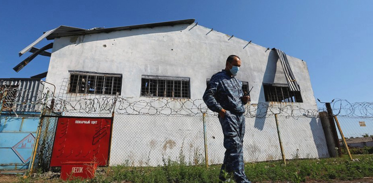 Ukrainian prisoners, Red Cross