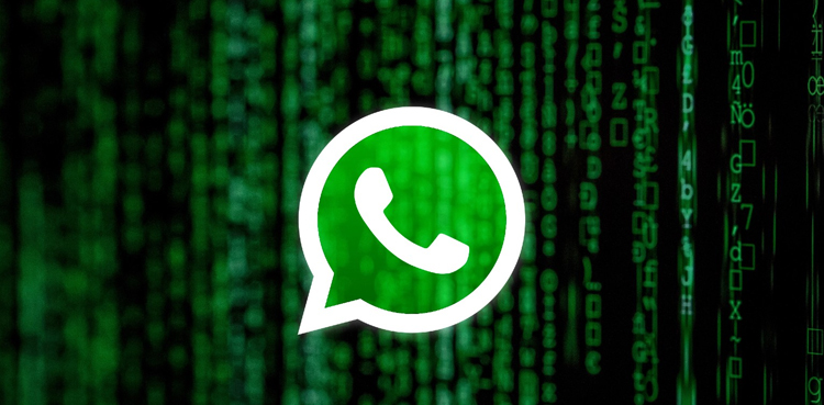 WhatsApp Companion Mode