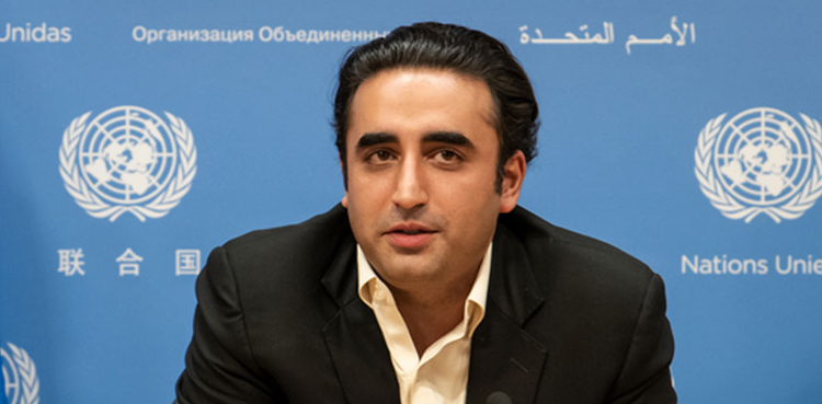 Bilawal Bhutto, COP27, Climate crisis