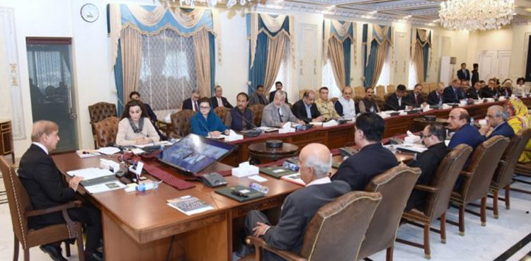 PM Shehbaz Sharif, expert committee, climate change