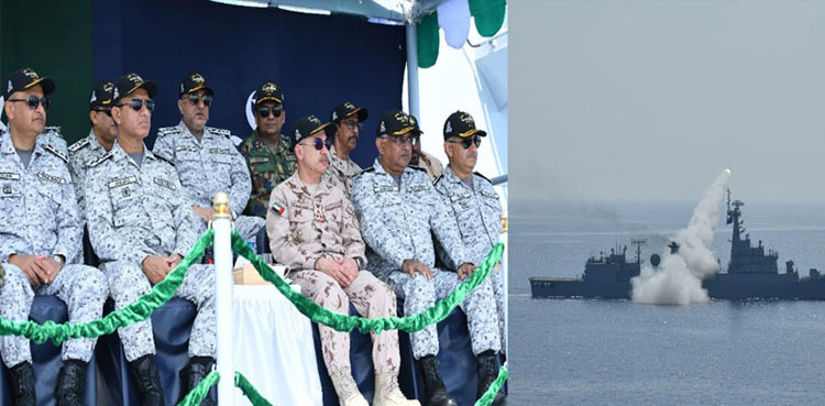 Pakistan, UAE, bilateral naval exercise, North Arabian Sea