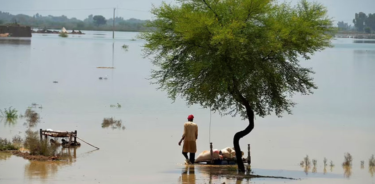 World Bank to provide $2bn for Pakistan flood relief