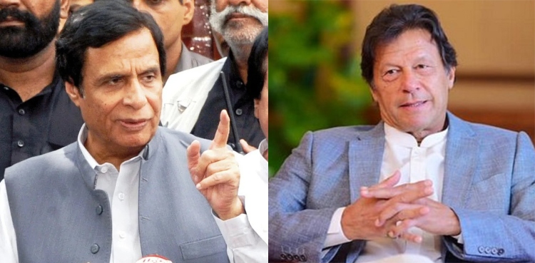 Punjab CM, Pervaiz Elahi, Imran Khan, FATF grey list