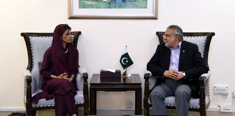 Ishaq Dar, Hina Rabbani Khar, Afghanistan visit