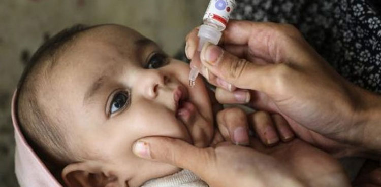 62000 parents, Polio vaccine refusal, January drive