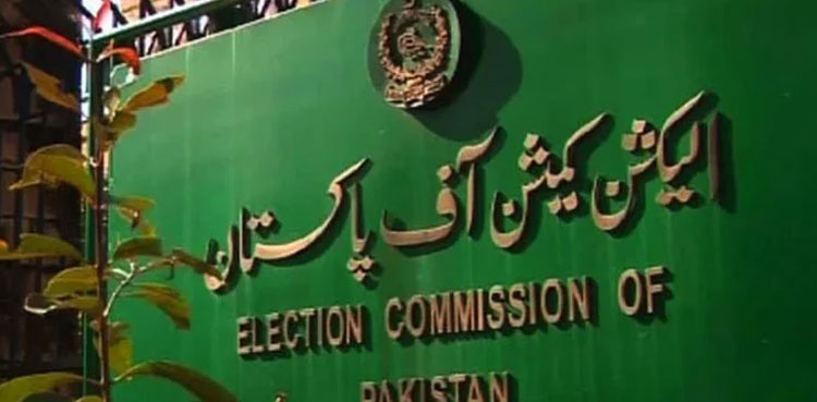 ecp LG polls Karachi verdict