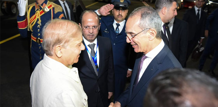 PM Shehbaz Sharif, Egypt, COP27, Climate Implementation Summit