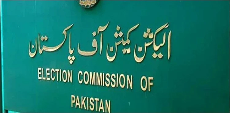 ECP, general elections