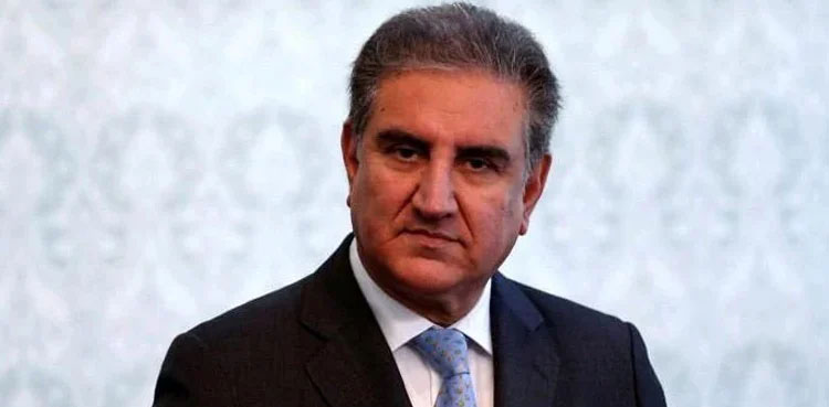 Qureshi asks govt to accept resignations of remaining PTI MNAs