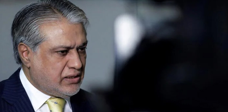 Ishaq Dar disqualification case, ECP, verdict