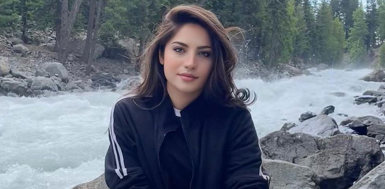 neelam muneer pictures, neelam muneer, viral, video, viral pictures