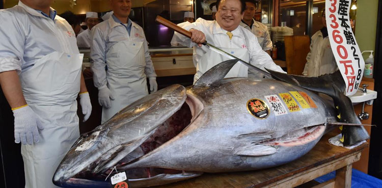 Tuna price Japan