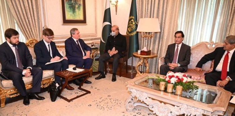 PM Shehbaz expresses desire to upgrade economic ties with Russia