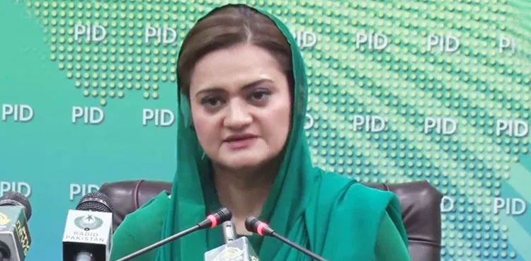 Marriyum Aurangzeb, FIA action, character assassination, female actresses