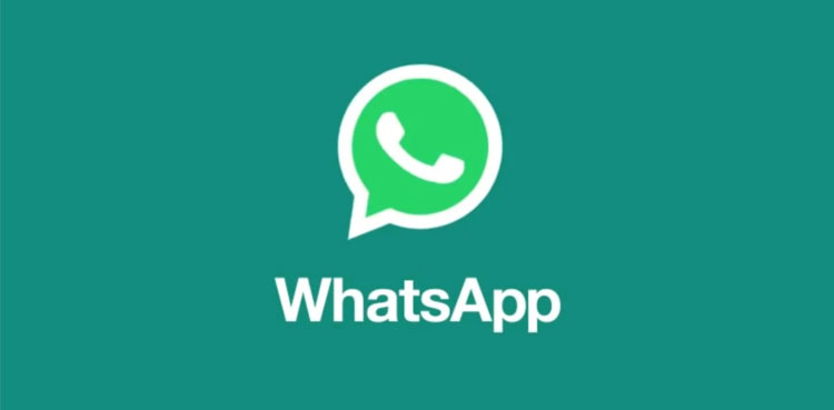 WhatsApp, transcribe, text