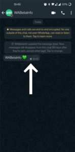 Kept Messages feature, disappearing chats, Whatsapp