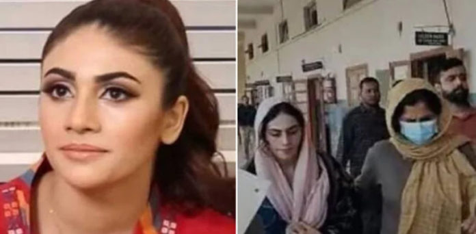 dania shah bail leak video case